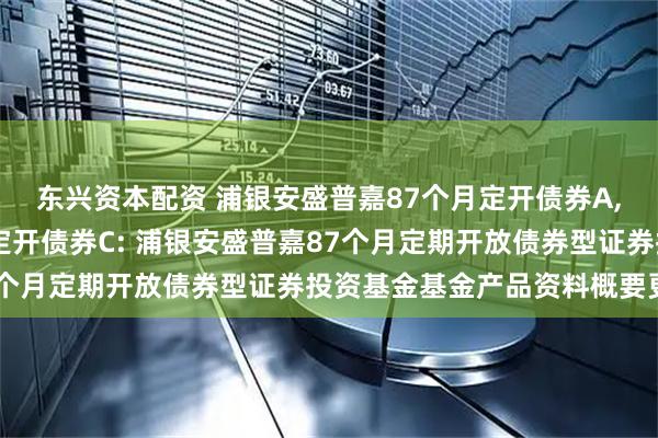 东兴资本配资 浦银安盛普嘉87个月定开债券A,浦银安盛普嘉87个月定开债券C: 浦银安盛普嘉87个月定期开放债券型证券投资基金基金产品资料概要更新