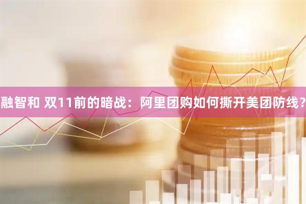 融智和 双11前的暗战：阿里团购如何撕开美团防线？