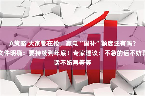 A策略 大家都在抢,家电“国补”额度还有吗?最新文件明确:要持续到年底!专家建议:不急的话不妨再等等