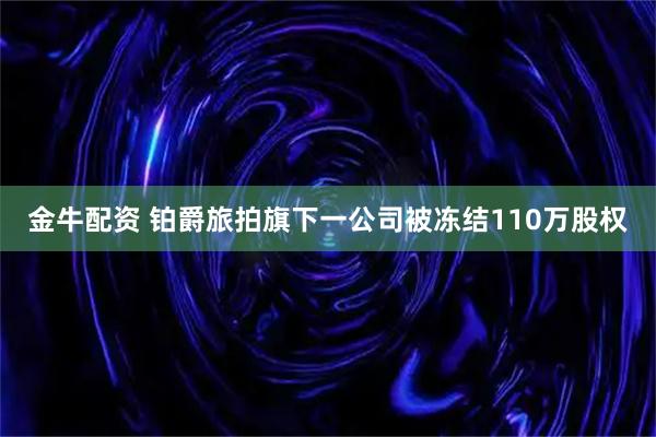 金牛配资 铂爵旅拍旗下一公司被冻结110万股权